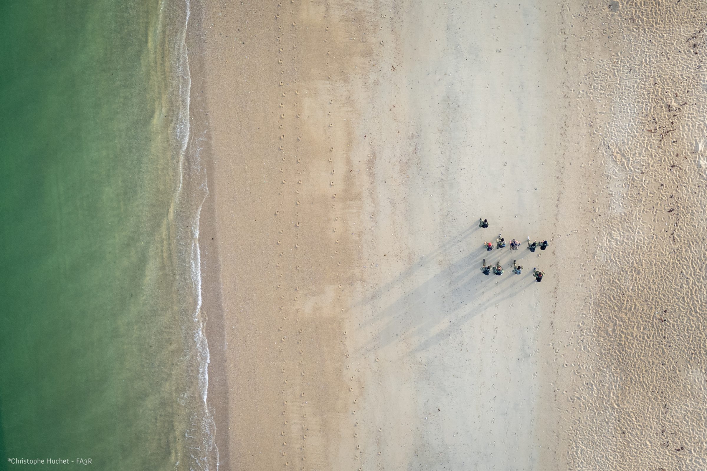 Vue aérienne d’une équipe sur une plage, au bord de la mer